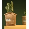Doudou Botanique - Peluche plante verte rayures jaunes