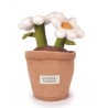 Doudou Botanique - Peluche Marguerite