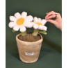 Doudou Botanique - Peluche Marguerite