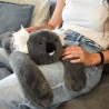 Peluche Podcoll - Koala 40 cm