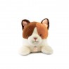 Peluche Les p'tits relax - Chat 22 cm