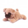 Peluche Les p'tits relax - Chien beige 22 cm