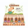 Coffret de 3 mini surligneurs - Capybara