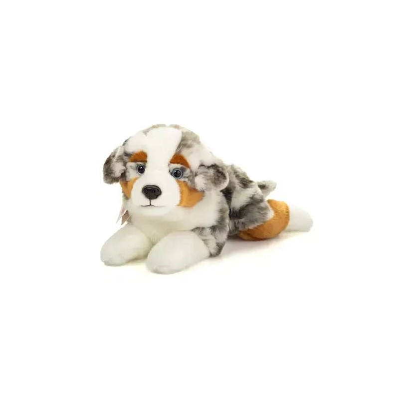 Berger australien couché - 40 cm