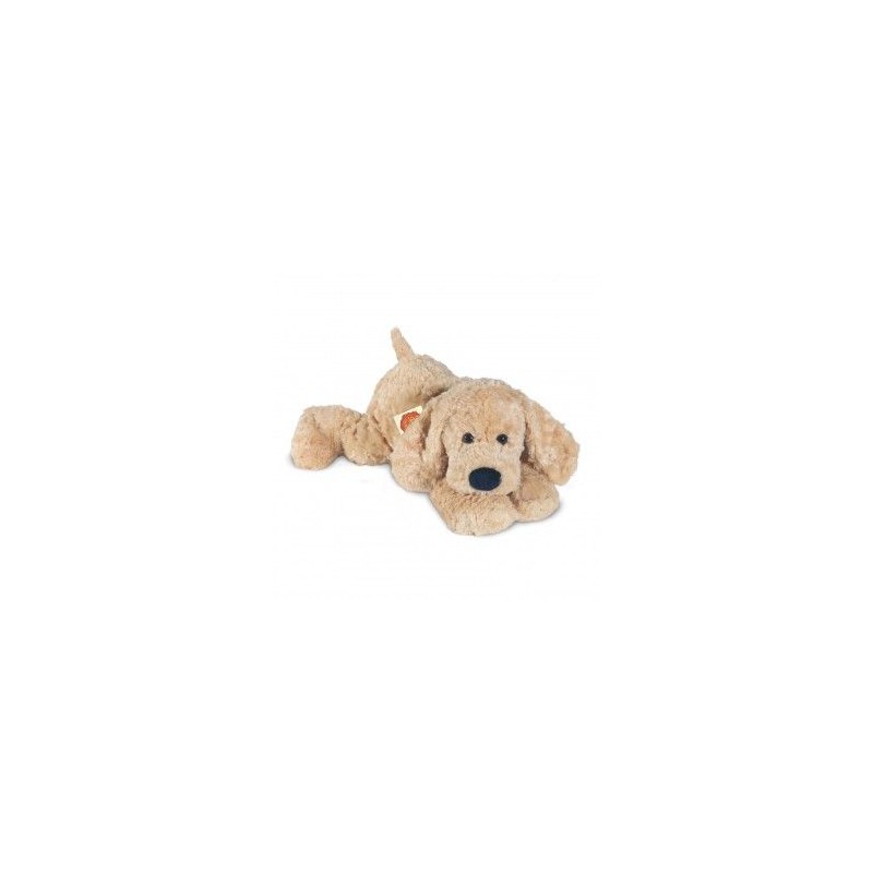 Labradoodle - 40 cm