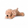 Labradoodle - 28 cm