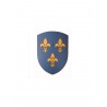 Bouclier courbé - Fleur de Lys