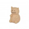 Jouet de bain - Biscuit le chat
