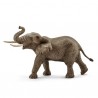 Eléphant d'Afrique Mâle - Wild Live