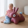 Hoppi Lapin rebondissant - Bordeaux