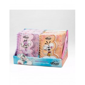 Carnet forme A6 Diddl