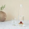 Bouteille carafe Octopus 1.2 l