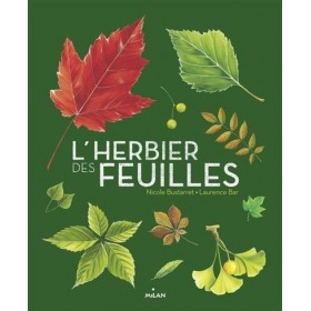 L'herbier des feuilles