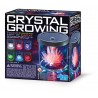 Crystal growing lumineux Crystal growing lumineux
