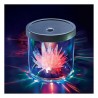 Crystal growing lumineux Crystal growing lumineux