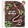 Le ver de terre