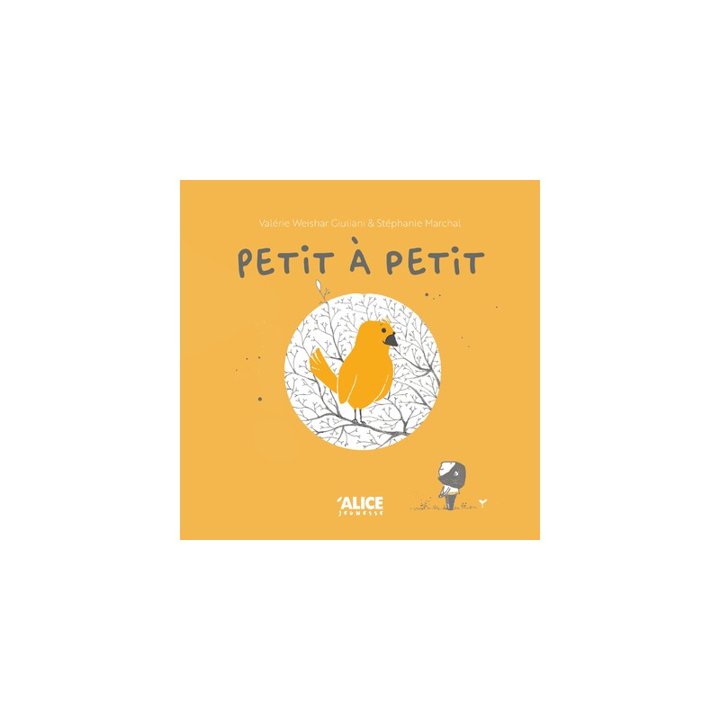 Petit à petit