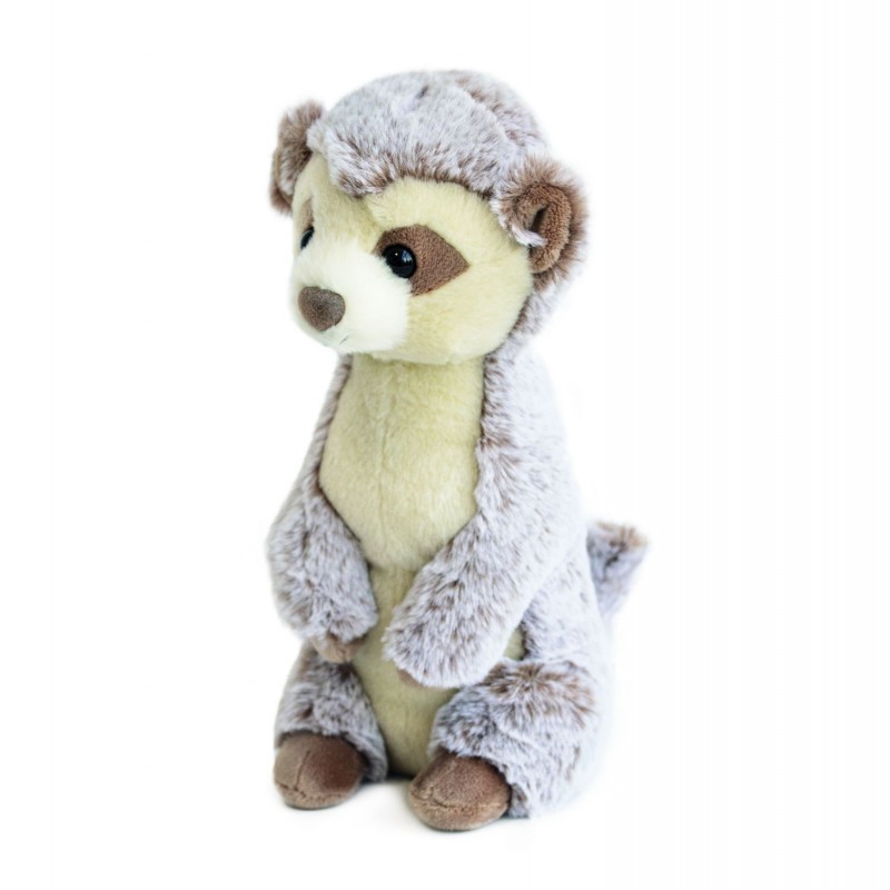 Suricate Suricate