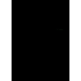 Petit questionneur (Le)