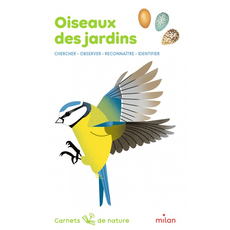 Oiseaux des jardins