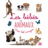 Mon bel imagier - Les bébés animaux