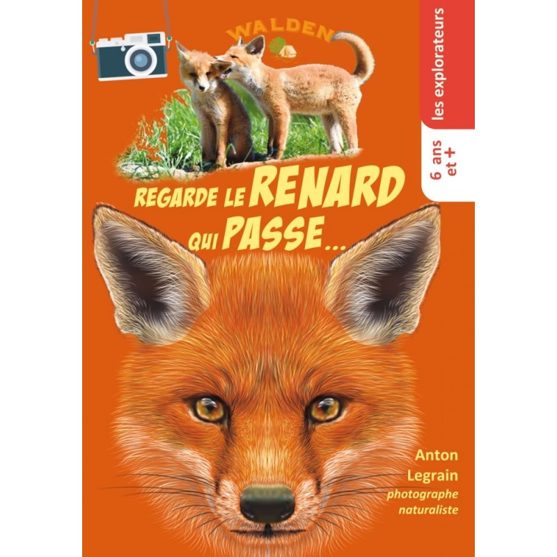 Regarde le renard qui passe