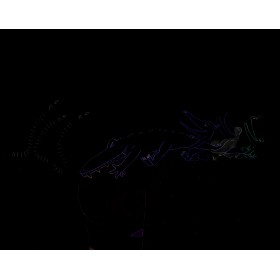 Concours de force (Le)