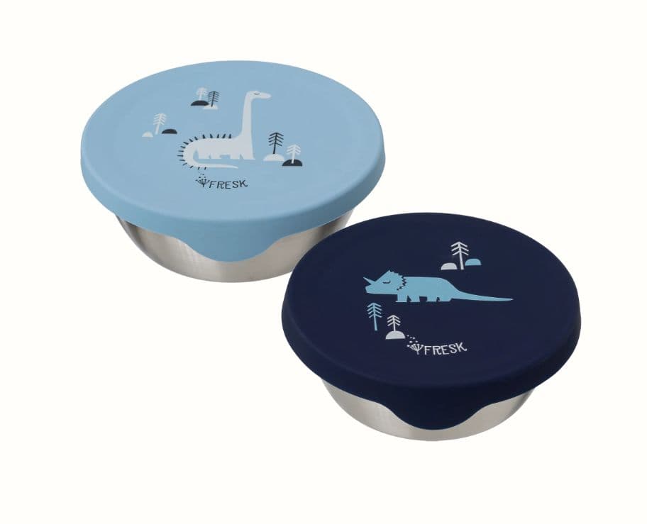 Lot de 2 boîtes à collation - Dinosaures