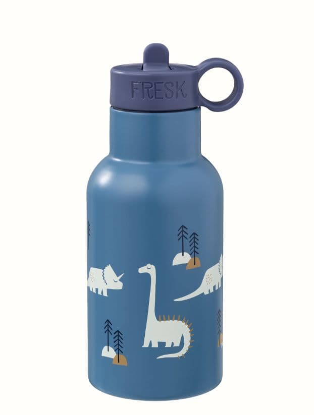 Gourde isotherme - Dinosaures 350 ml