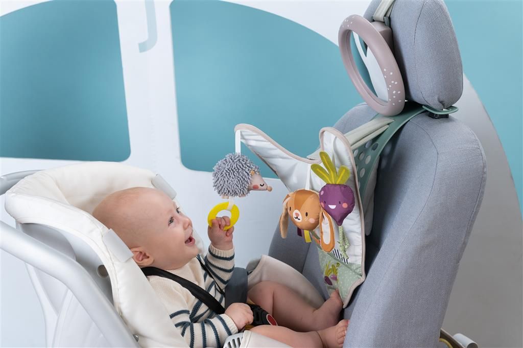 0605566131054-panneau-dactivites-pour-la-voiture---garden