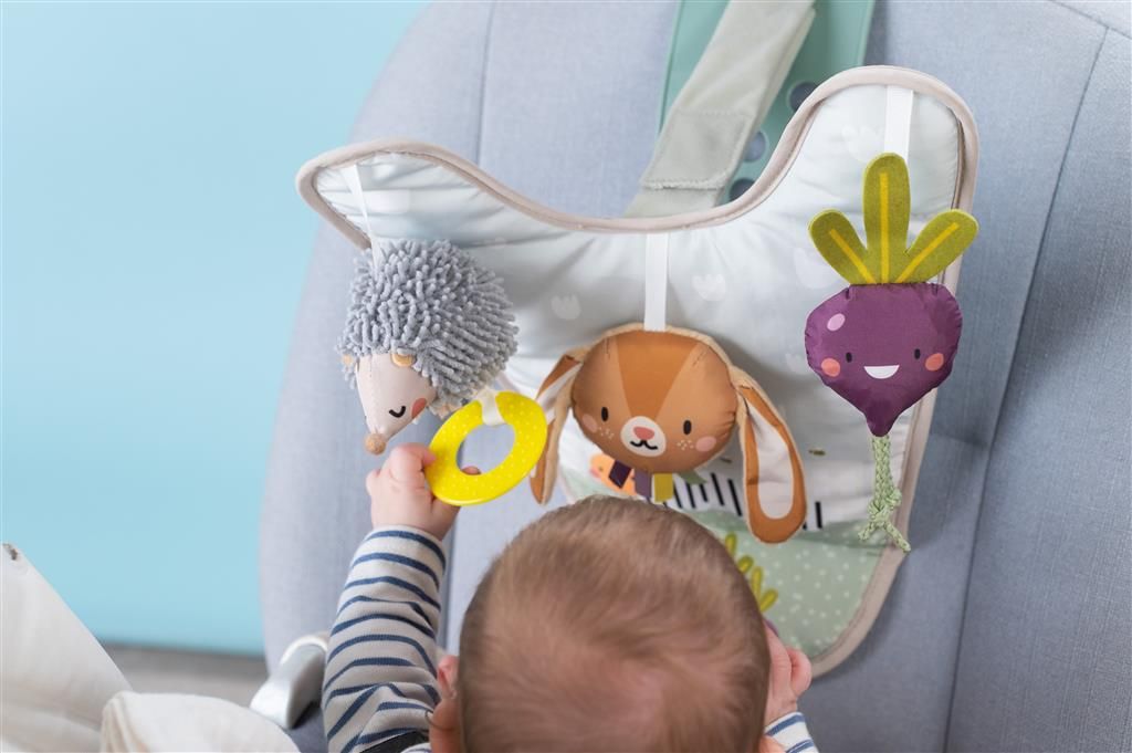 0605566131054-panneau-dactivites-pour-la-voiture---garden